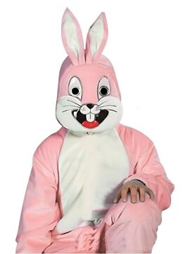Bugs Bunny Tavşan Kostümü 4-5 Yaş - Pembe