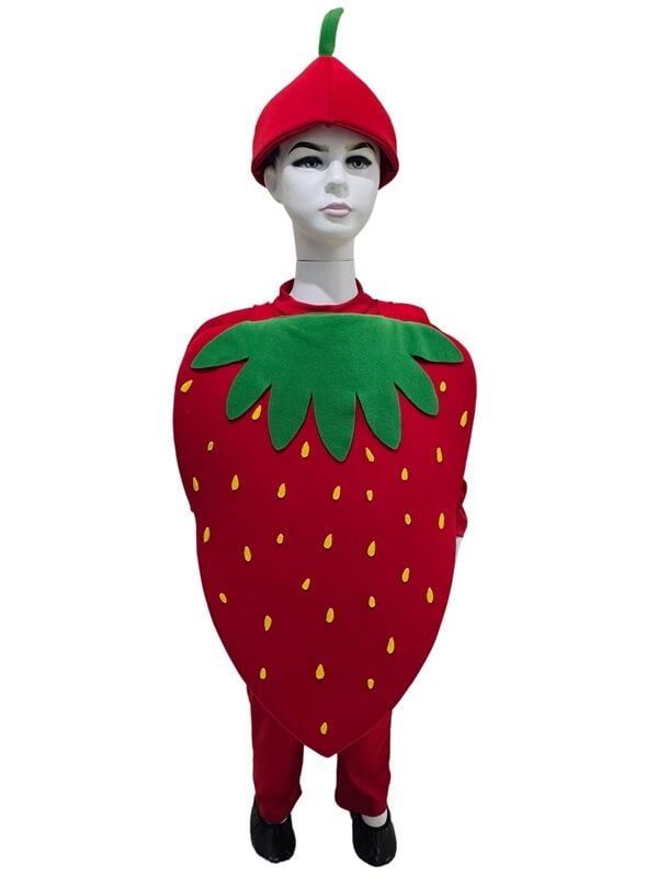 Çilek Kostümü Çocuk