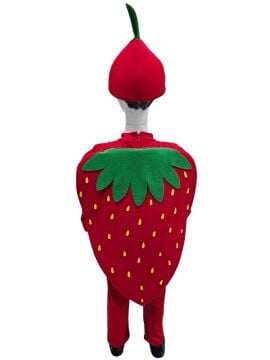 Çilek Kostümü Çocuk