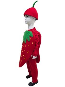 Çilek Kostümü Çocuk