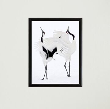 Turna Kuşları Çerçeveli Poster Tablo