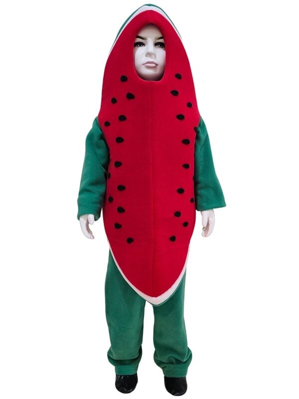 Karpuz Kostümü 4-5 Yaş