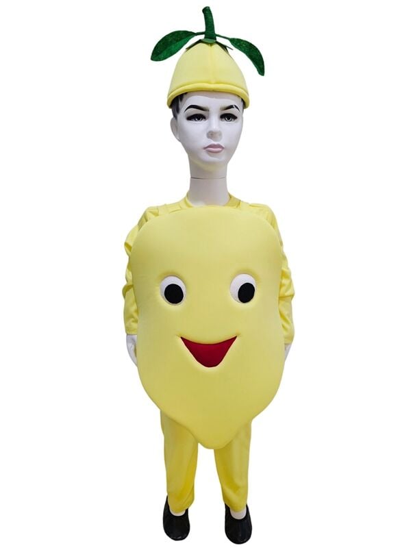 Limon Kostümü