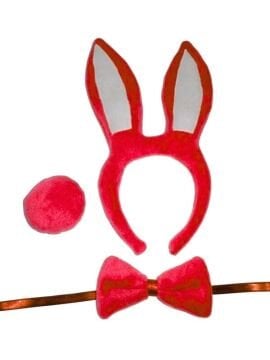 Tavşan Kostüm Set