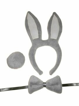 Tavşan Kostüm Set