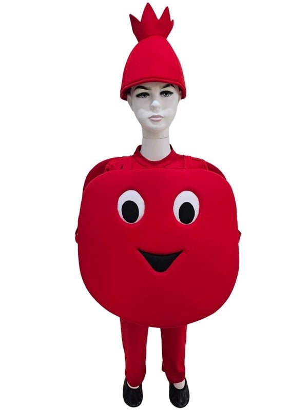 Nar Kostümü 8-9 Yaş