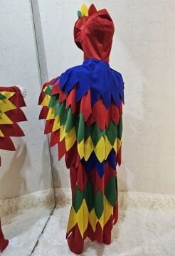 Papağan Kostümü Lüks