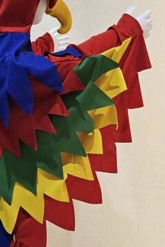 Papağan Kostümü Lüks