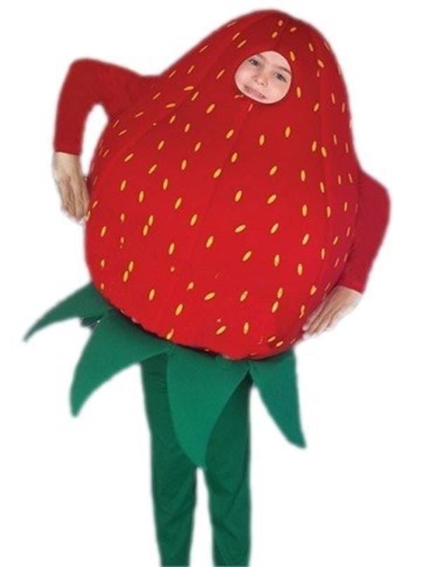 Çilek Kostümü 8-9 Yaş