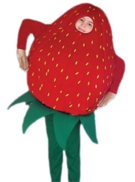 Çilek Kostümü 8-9 Yaş