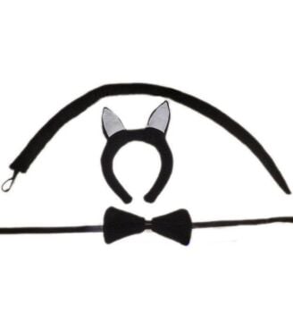 Kedi Kostüm Set Pembe